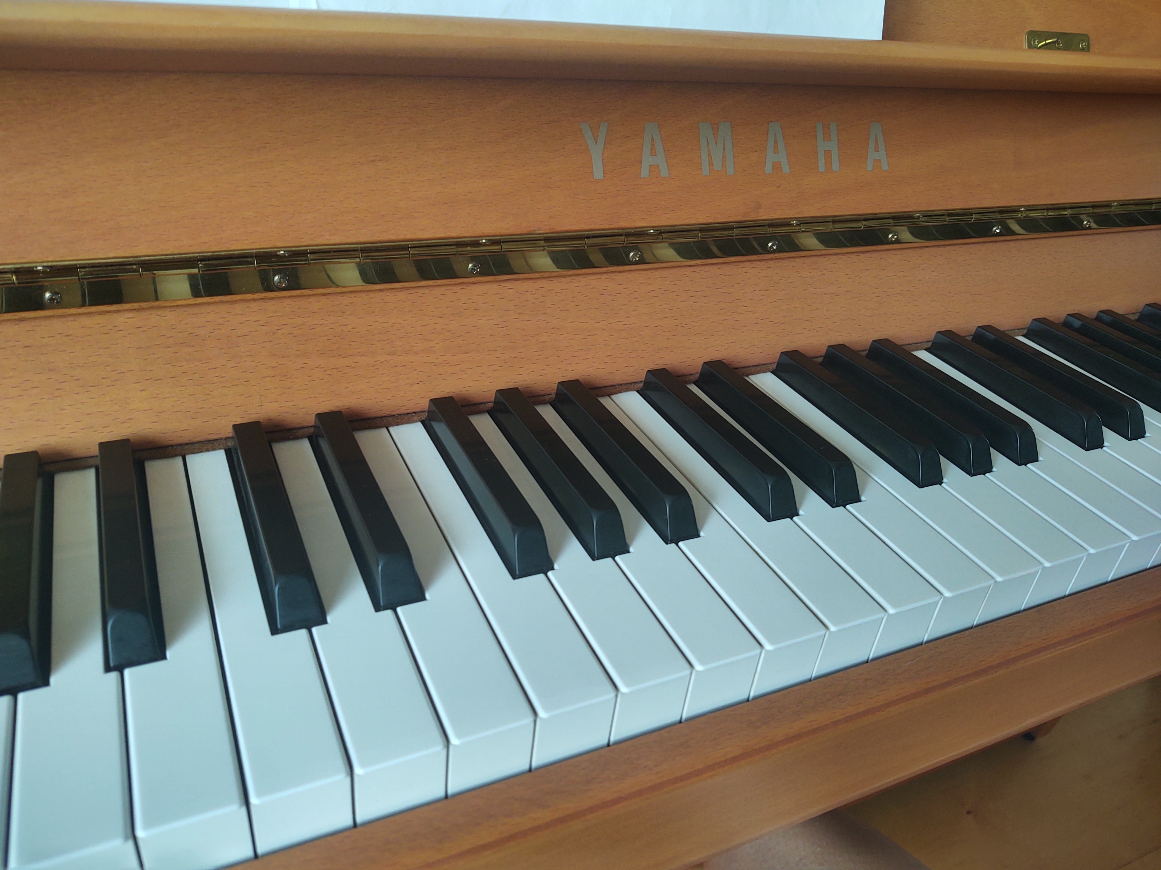 What learning to play the piano taught me