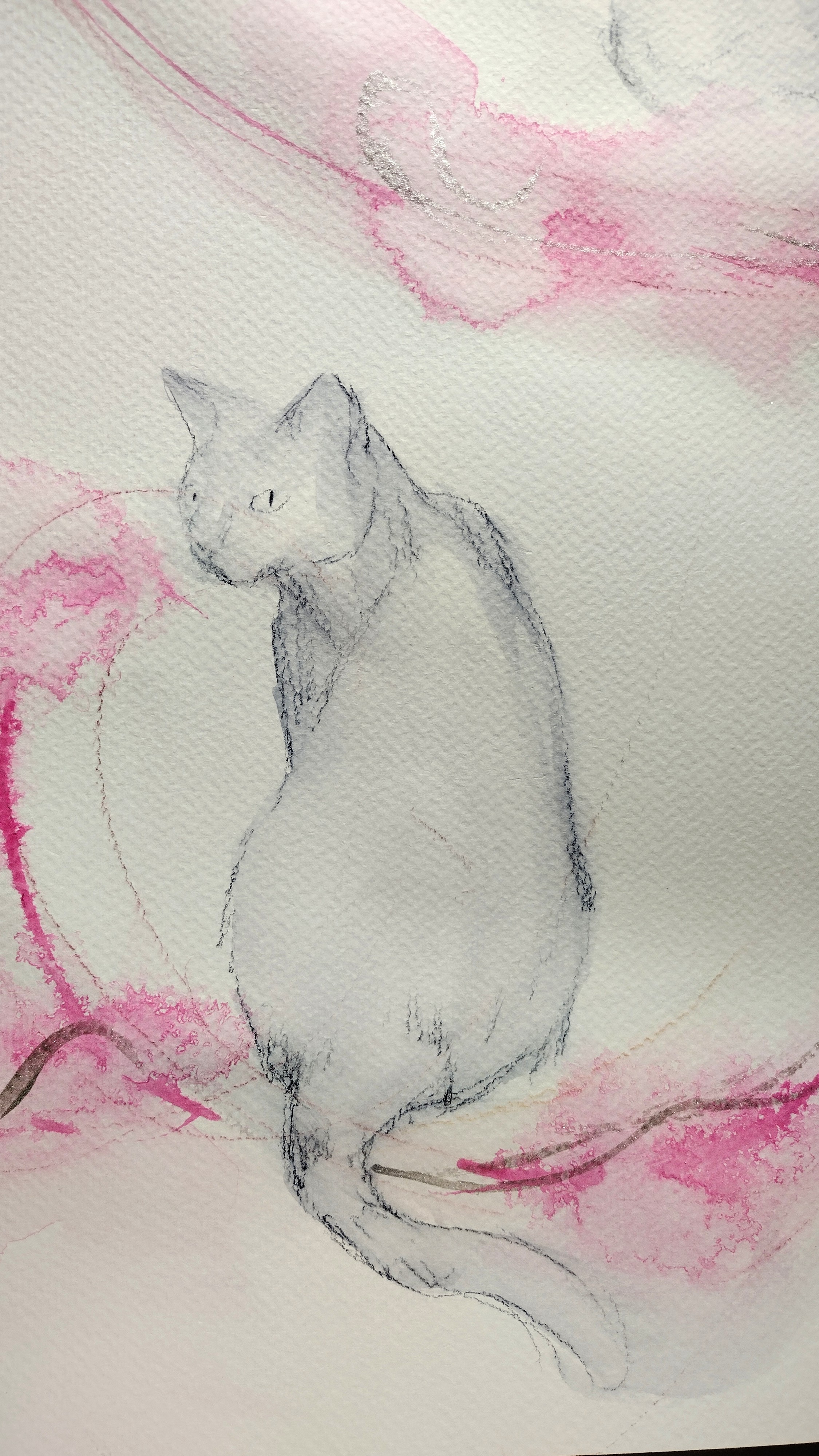 Cats WIP