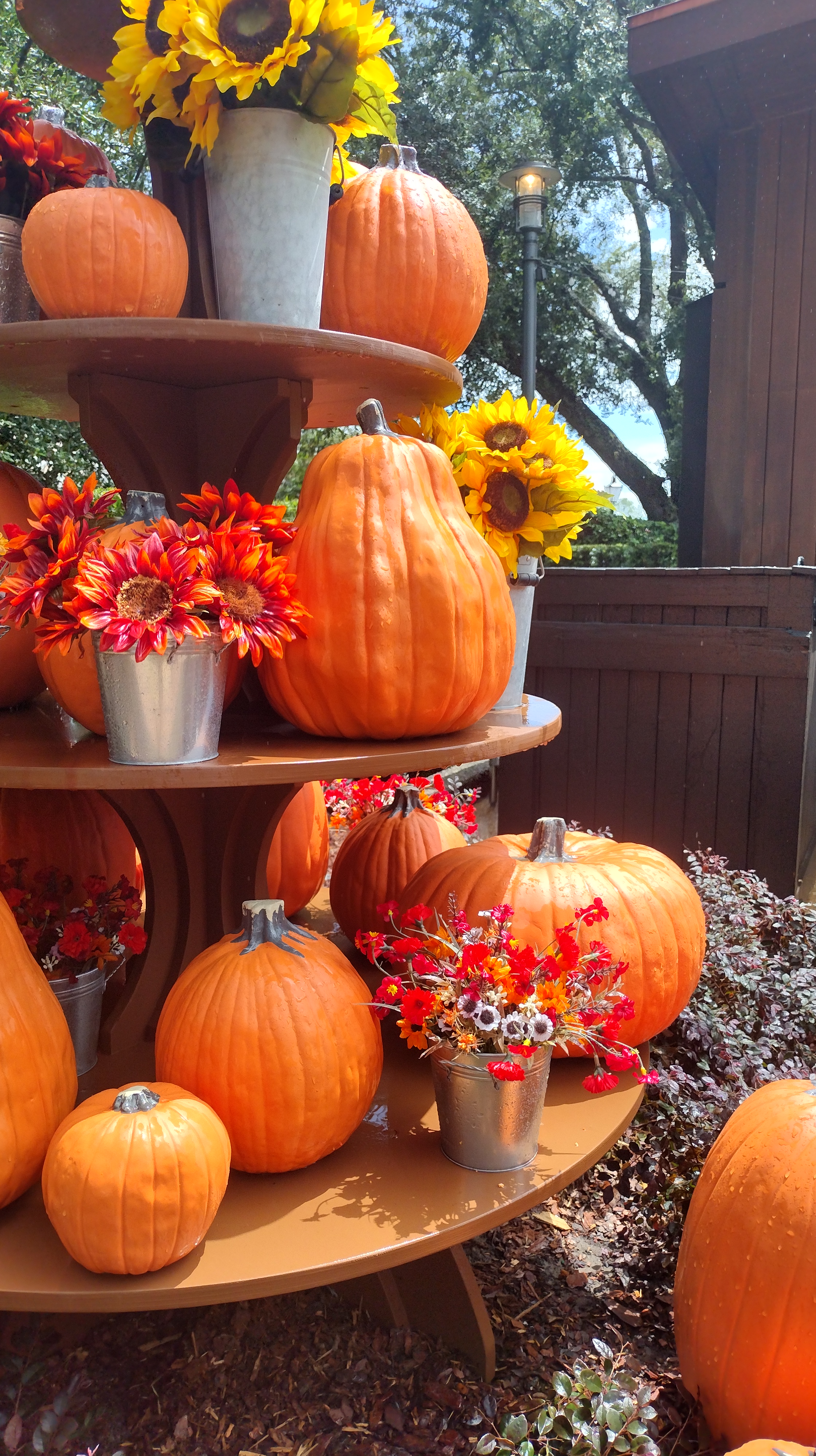 My Favorite Time Of Year