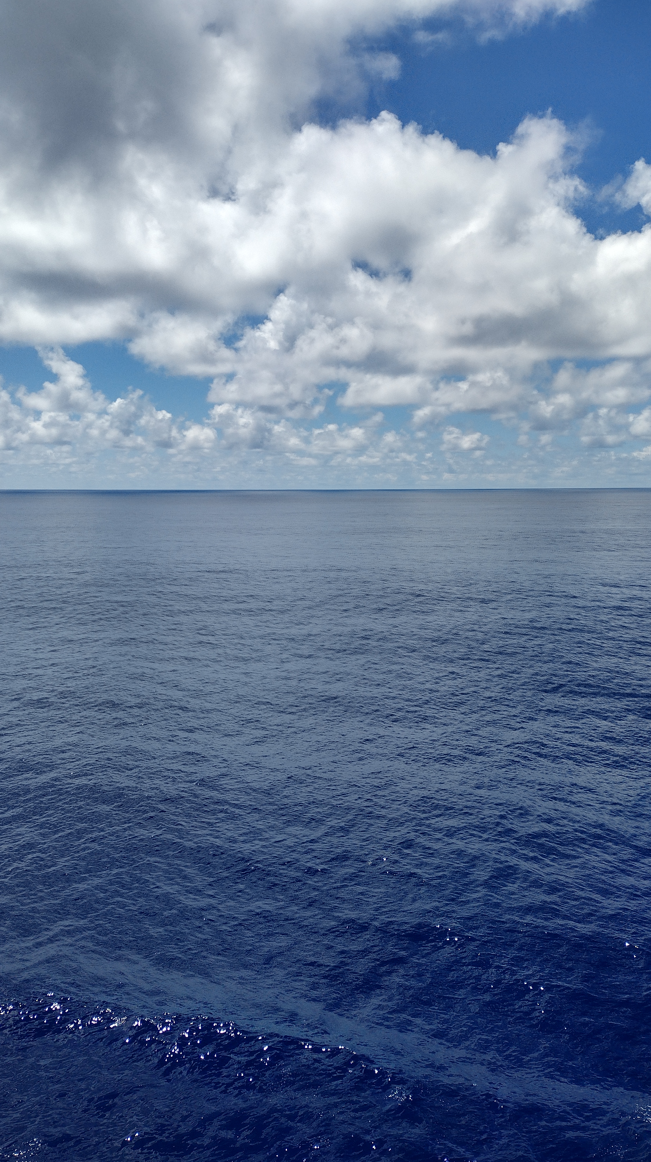 Wonder of the Seas Cruise
