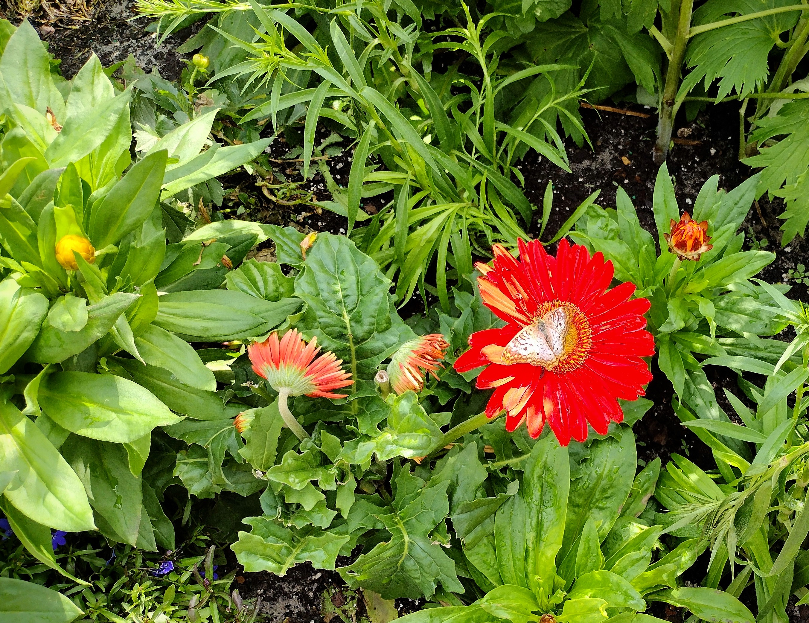 Nature, Painting and the Past Week