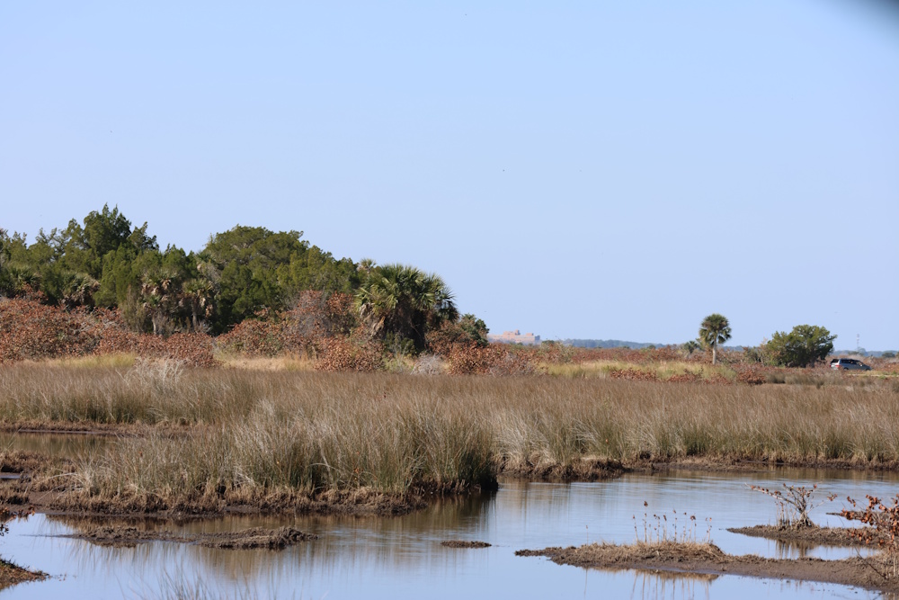 “Ripples” and Black Point Wildlife Drive