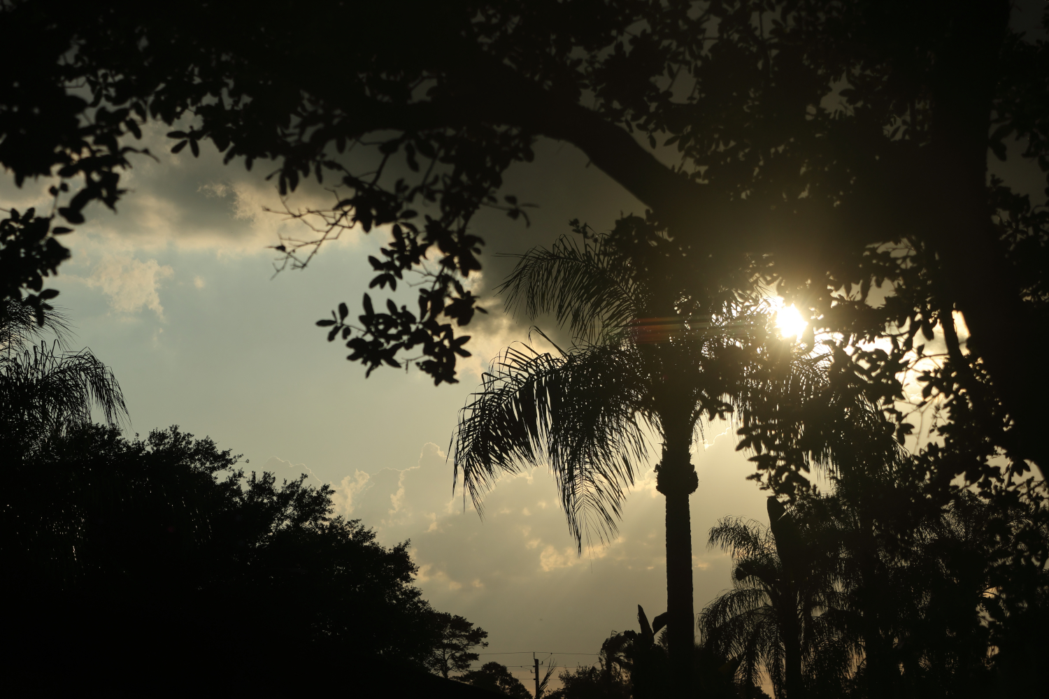 Untitled post 4506