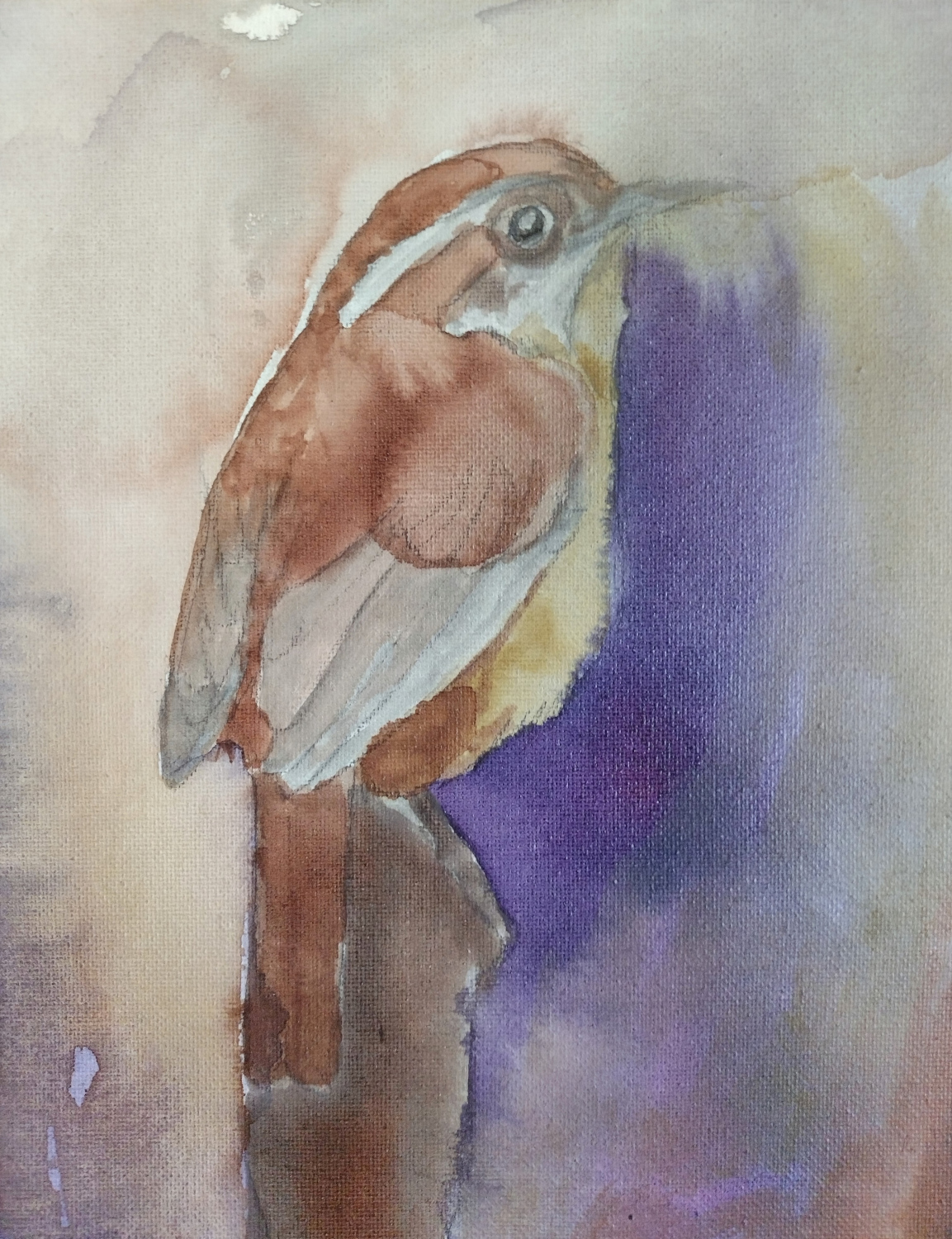 WIP Bird Painting