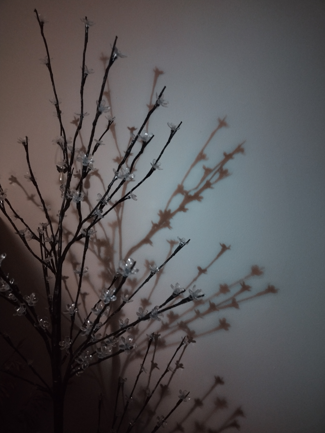 Shadow