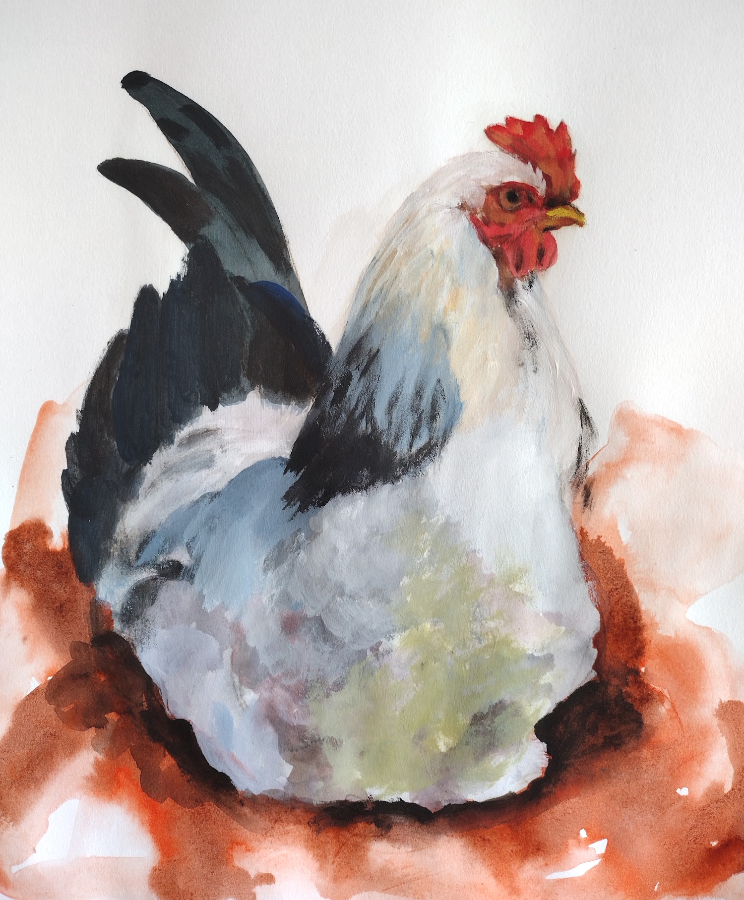 Chicken