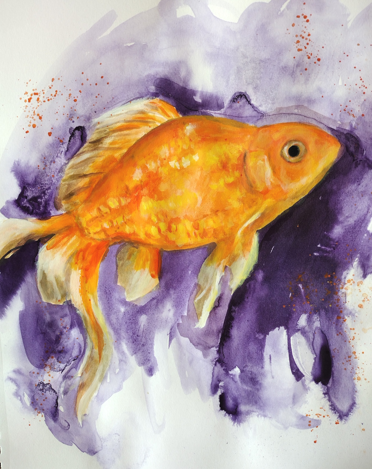 Goldfish