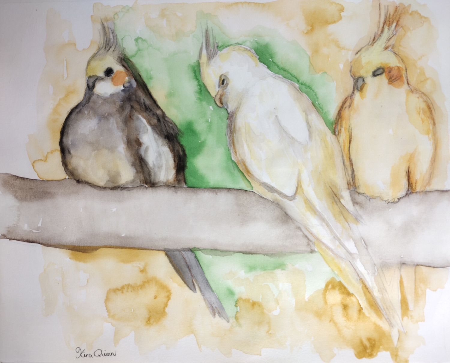 Three Birds