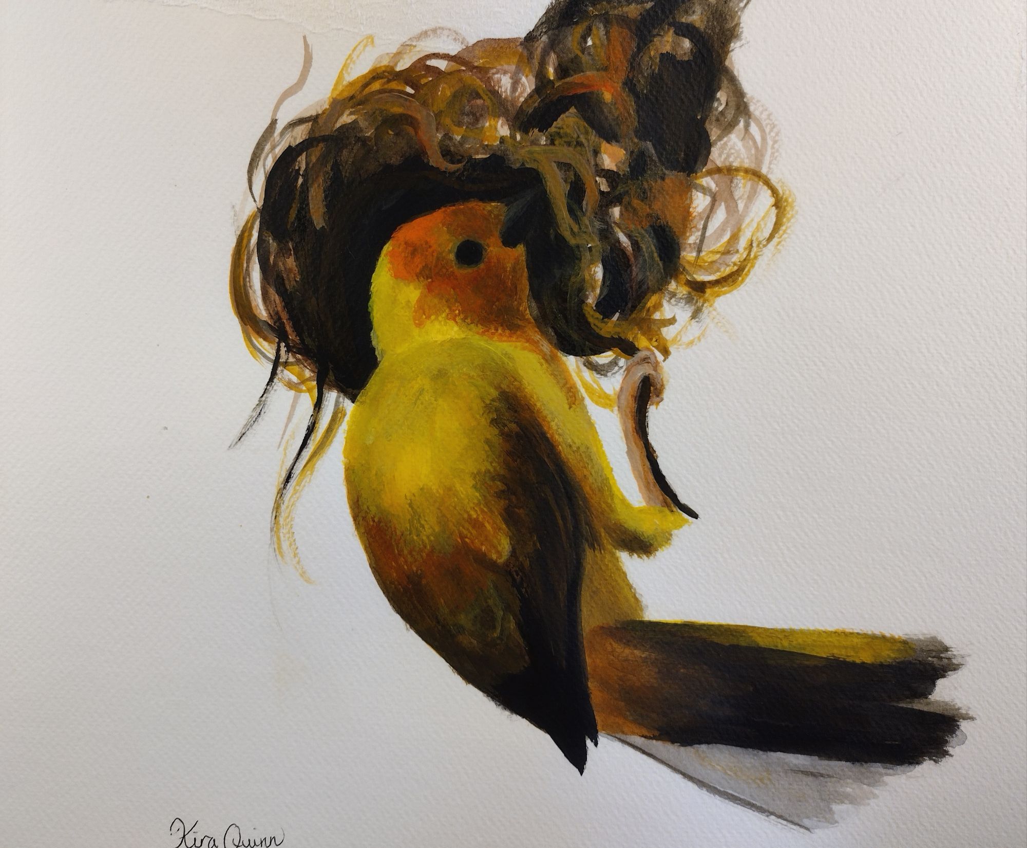 taveta golden weaver