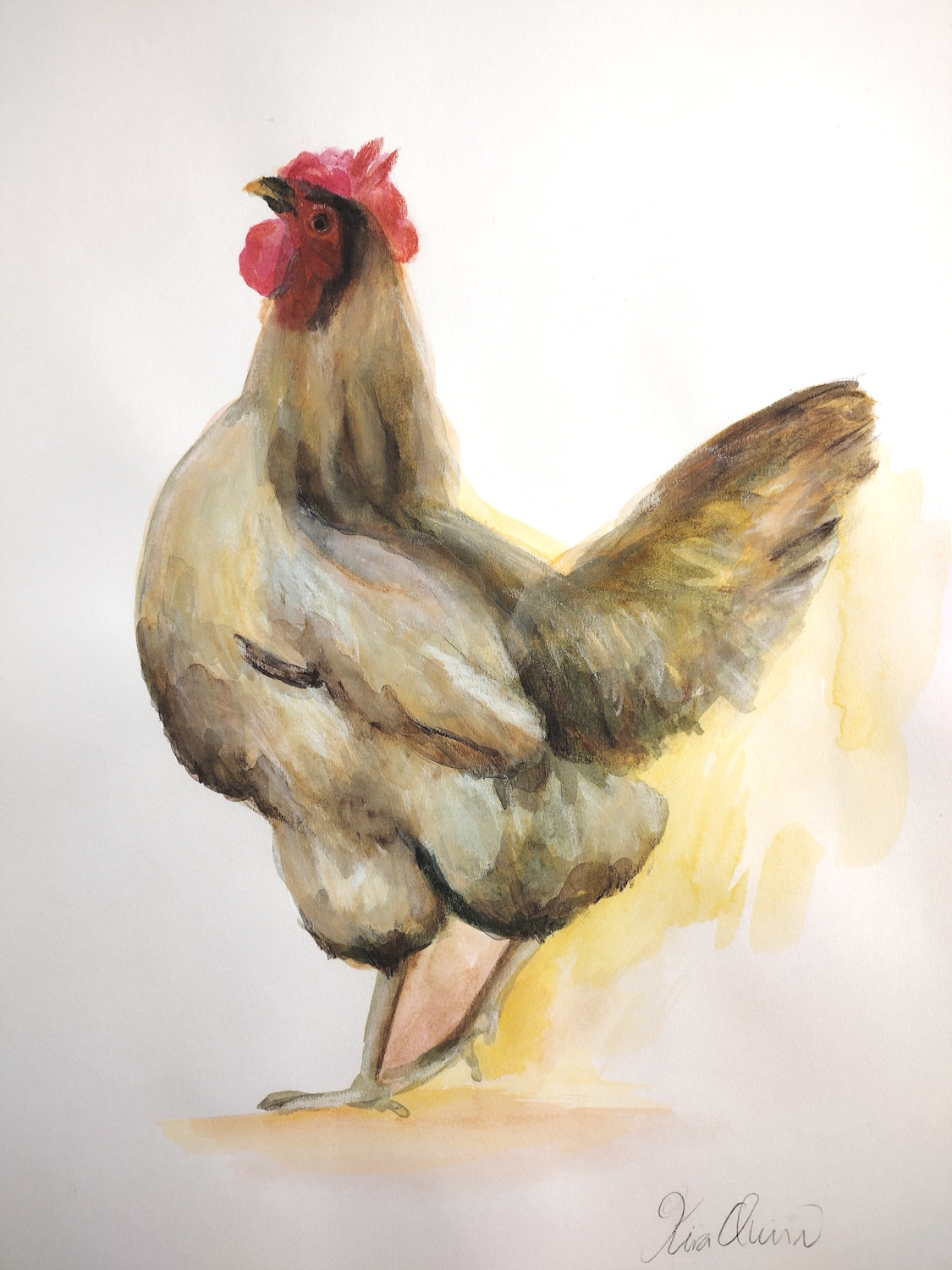 Another Cute Chicken!