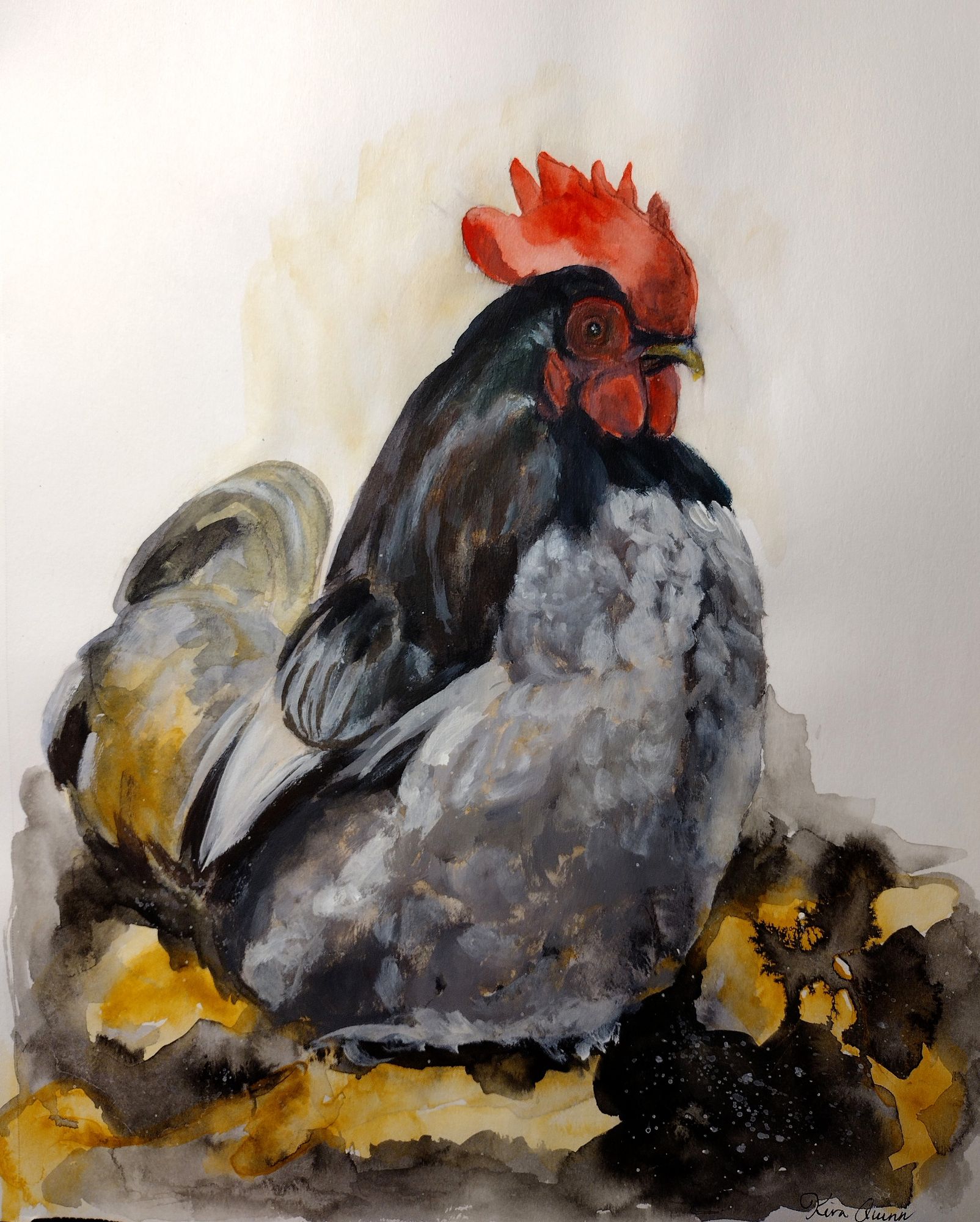 Chicken #2