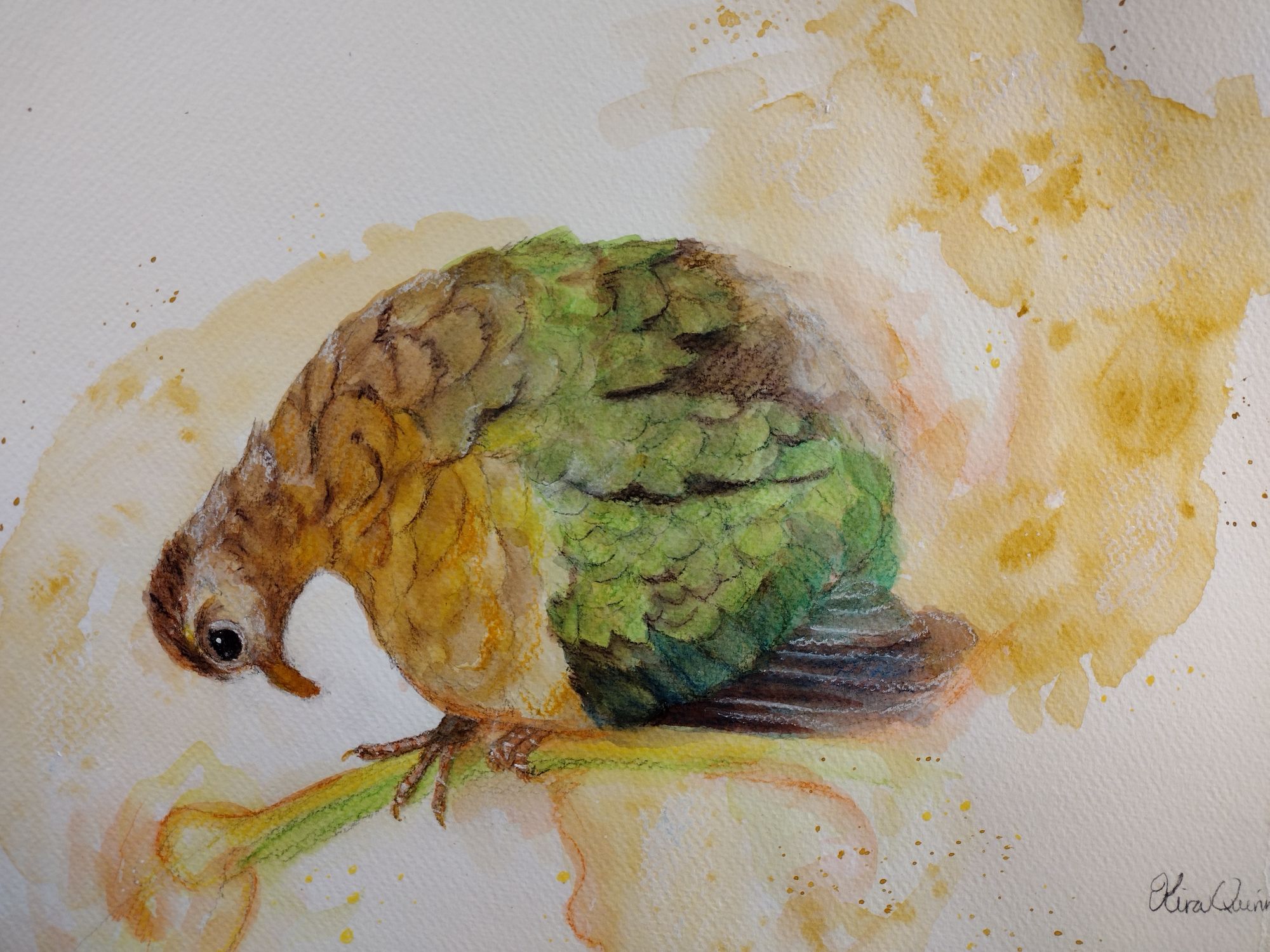 Emerald Dove Painting